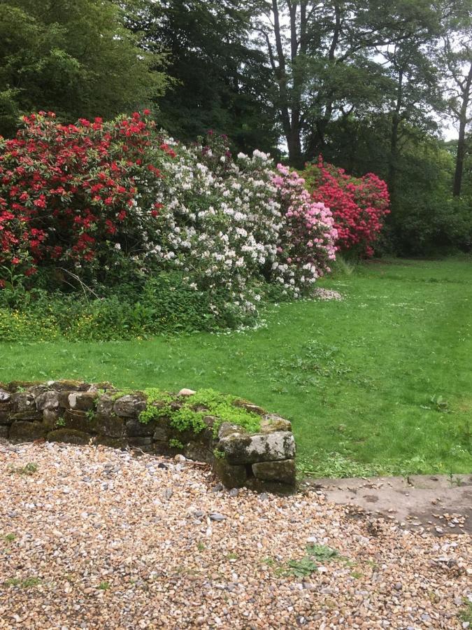 Bed & Breakfast Littlebank Settle